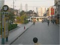 Shanghai (632)